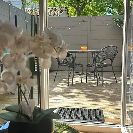 Le Cosy Dome Apartamento